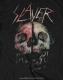 SLAYER -쥤䡼- CLEAVED SKULL ֥꡼ ԥ