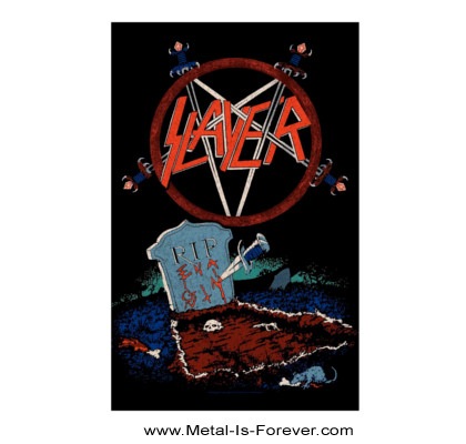 SLAYER (쥤䡼) Reign In Pain ֥쥤󡦥󡦥ڥ ݥ