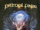 �ں߸ˤ����PRIMAL FEAR (�ץ饤�ޥ롦�ե���) KING OF MADNESS �֥��󥰡����֡��ޥåɥͥ���T����� L�������ڥ��쥯�����������ƥ��