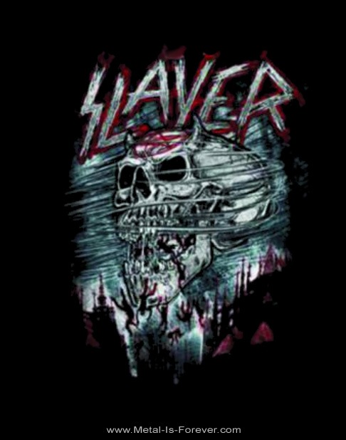 SLAYER -쥤䡼- DEMON STORM ֥ǡ󡦥쥤䡼  ԥ