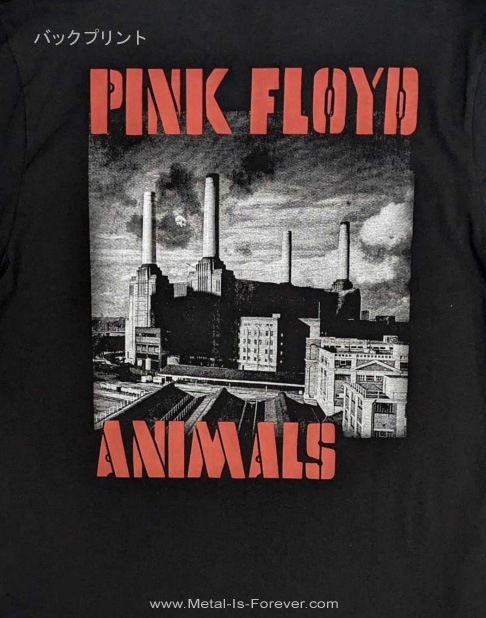 PINK FLOYD (�ԥ󥯡��ե�����) Animals �֥��˥ޥ륺�� Ĺµ�ԥ����