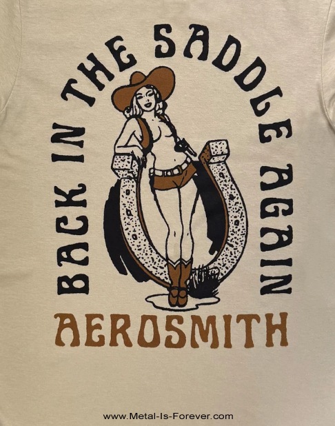 AEROSMITH (���������ߥ�) Back In The Saddle �֥Хå������󡦥������ɥ�ףԥ���ġʥ���ɡ����顼��
