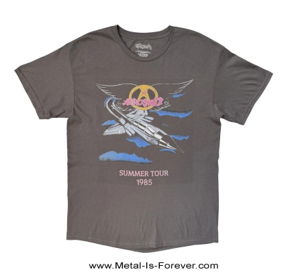 AEROSMITH (���������ߥ�) Summer Tour '85 ��1985ǯ���ޡ����ĥ����ףԥ���ġʥ��㥳���롦���졼��