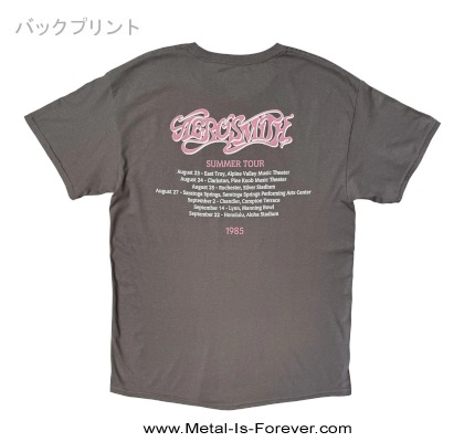 AEROSMITH (���������ߥ�) Summer Tour '85 ��1985ǯ���ޡ����ĥ����ףԥ���ġʥ��㥳���롦���졼��