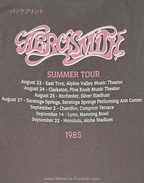 AEROSMITH (���������ߥ�) Summer Tour '85 ��1985ǯ���ޡ����ĥ����ףԥ���ġʥ��㥳���롦���졼��