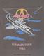 AEROSMITH (���������ߥ�) Summer Tour '85 ��1985ǯ���ޡ����ĥ����ףԥ���ġʥ��㥳���롦���졼��