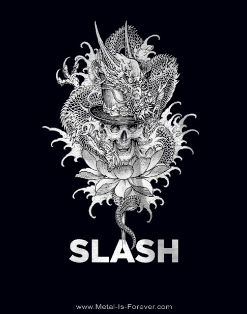 SLASH (����å���) Dragon Skull�֥ɥ饴�󡦥������ �ԥ����