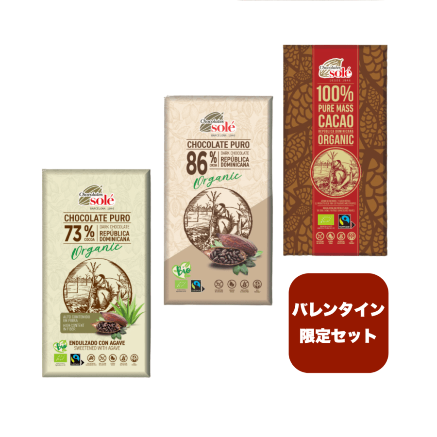 ダークチョコレート86% 100g[チョコレートソール]〈冬季限定