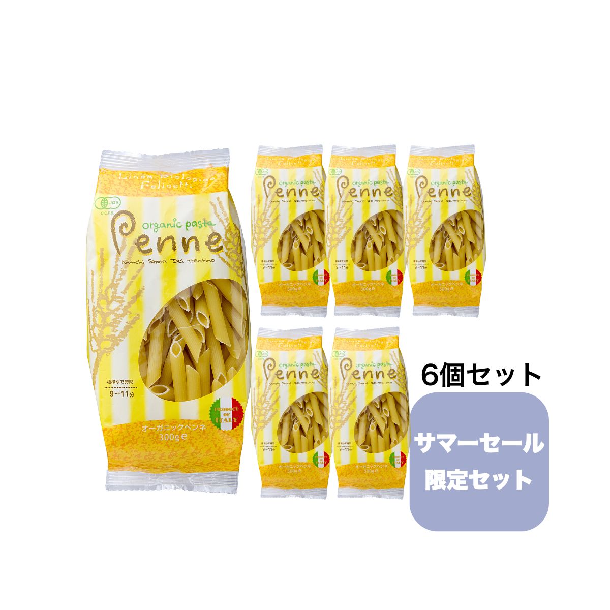 ペンネ　×6袋セット