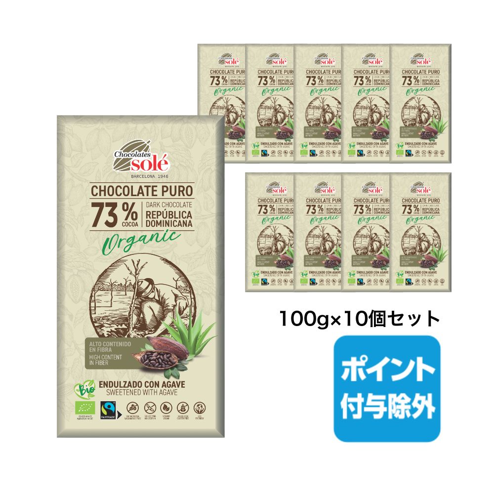ダークチョコレート100% 25g[チョコレートソール]〈冬季限定