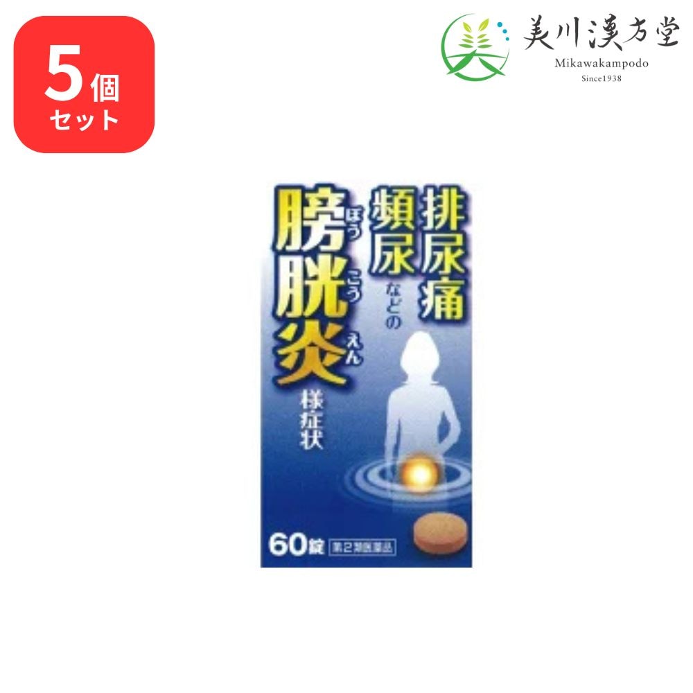 【5個セット】 【第2類医薬品】 五淋散 エキス錠N 60錠 コタロー 小太郎漢方 排尿痛 頻尿 残尿感 尿のにごり