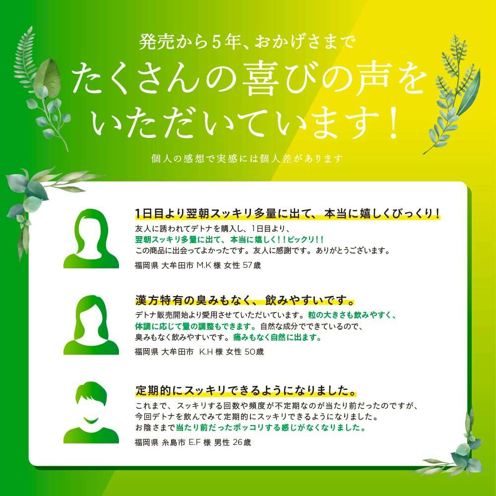 毎朝爽快DETNA(デトナ) 翌朝スッキリ ダイエットサポート