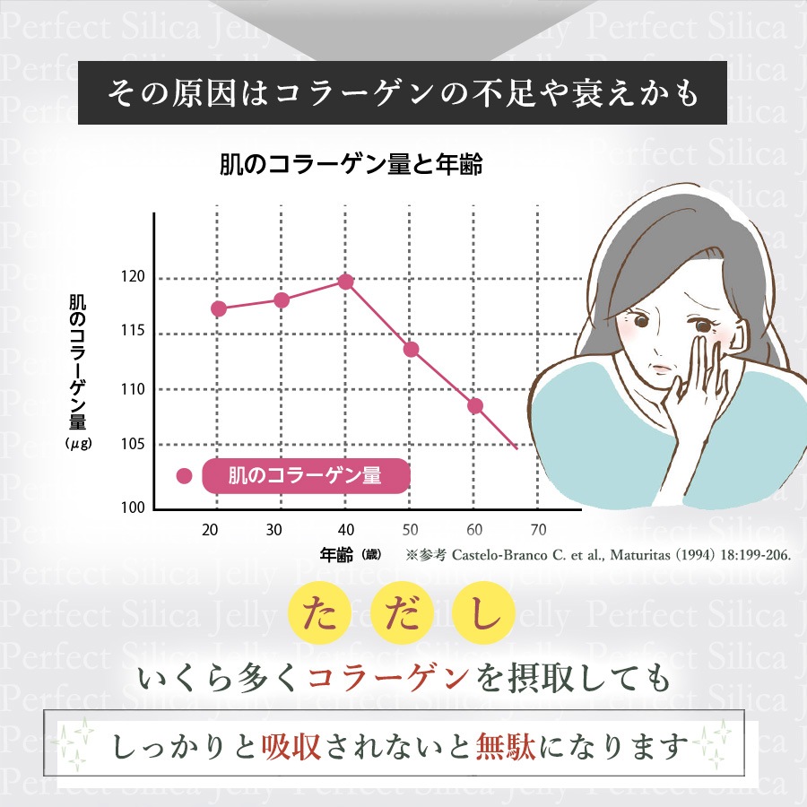 Perfect Silica Jelly 30スティック入り 3箱セット 10%OFF