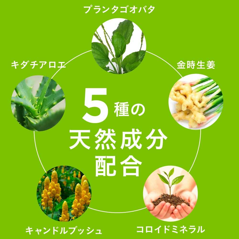 【5個セット15%OFF】毎朝爽快DETNA(デトナ) 翌朝スッキリ ダイエットサポート