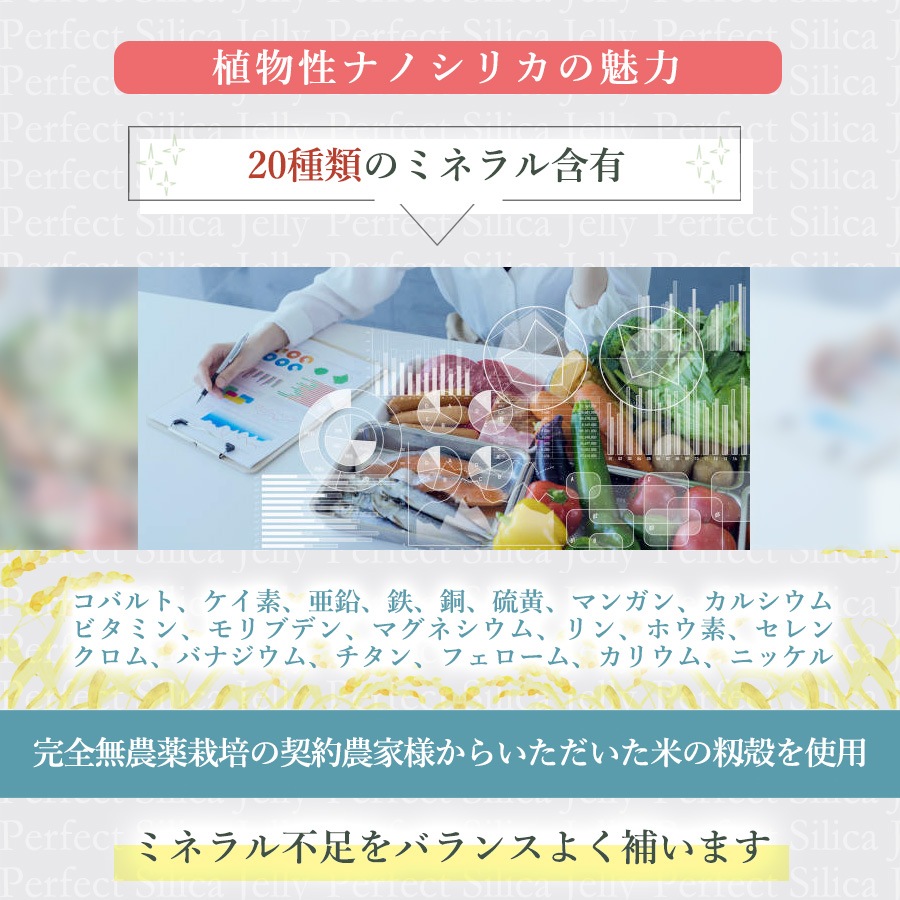 【定期購入/15%OFF】Perfect Silica Jelly 30スティック入り