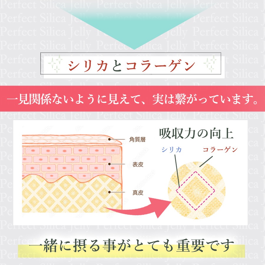 【定期購入/15%OFF】Perfect Silica Jelly 30スティック入り