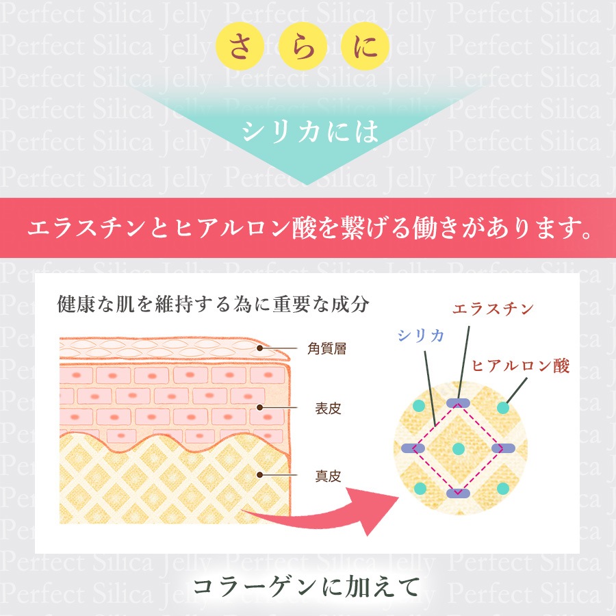 【定期購入/15%OFF】Perfect Silica Jelly 30スティック入り