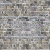 ɡϥѡȥ꡼եϥɻ5034