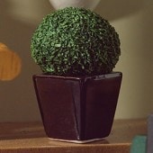 �ɡ���ϥ����ѡ��ȥԥ��꡼�֥�å��ݥå�3505