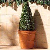 �ݥꥹ�ȡ������ȥԥ��꡼�ƥ饳�å�3516