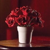 �ɡ���ϥ����ѡ��ơ��֥�ݥå�4364