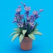 ɡϥѡ1/12롡饤åȭ6498