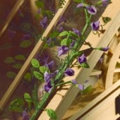 �ɡ���ϥ����ѡ��������ƥꥢ�Ĥ�4964