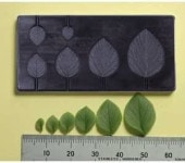 ӡѡߥշȴʥޥAˡ2309