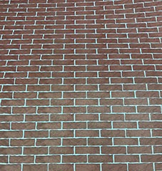 0000000010352_68t9jnL.jpg