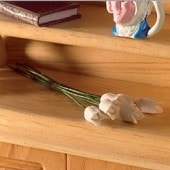 ɡϥѡۥ磻ȥ塼å6ܥå4798