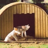 �����ʡ��ɡ���ϥ����ѡ��֥�����5696