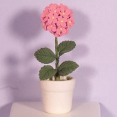 ʡɡϥѡϥɥ󥸥եݥå3663