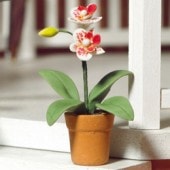 �ɡ���ϥ����ѡ��ե�����6182