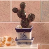 ʡɡϥѡƫȭܥƥ4664