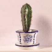 ʡɡϥѡƫȭܥƥ4665