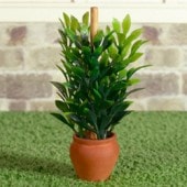 ɡϥѡտʪƥ饳å4659