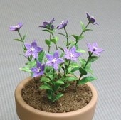 �ڡ��ѡ��ե����å�1/12�������롡�˹�(�����祦�ˡ�36