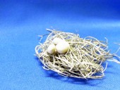 �ɡ���ϥ�����1/12��������ߥ˥��奢��Ļ����&��jos5367