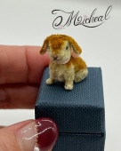 �����桡���������Υ��åץ��䡼��ӥå� ��Ȣ ������꥿����B