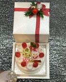�ۡ��륱����H2�ʥ��ꥹ�ޥ���