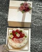 �ۡ��륱����H6�ʥϥåԡ��С����ǡ���