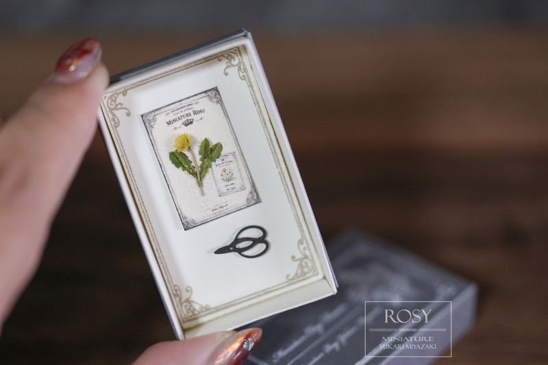 �����ʿ�ʪɸ�ܤȥϥ��ߤΥߥ˥��奢��Miniature Rosy�����