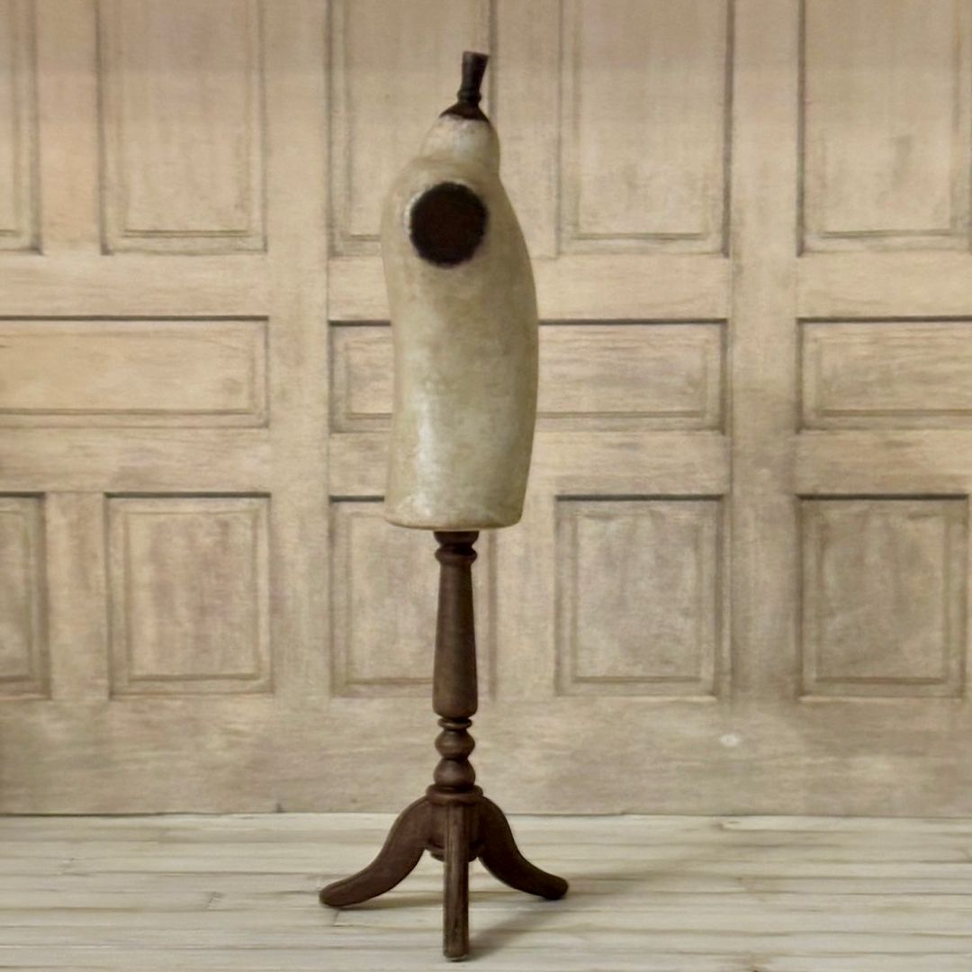 �����ѥȥ륽���ʵ��դ������ס�3000-64