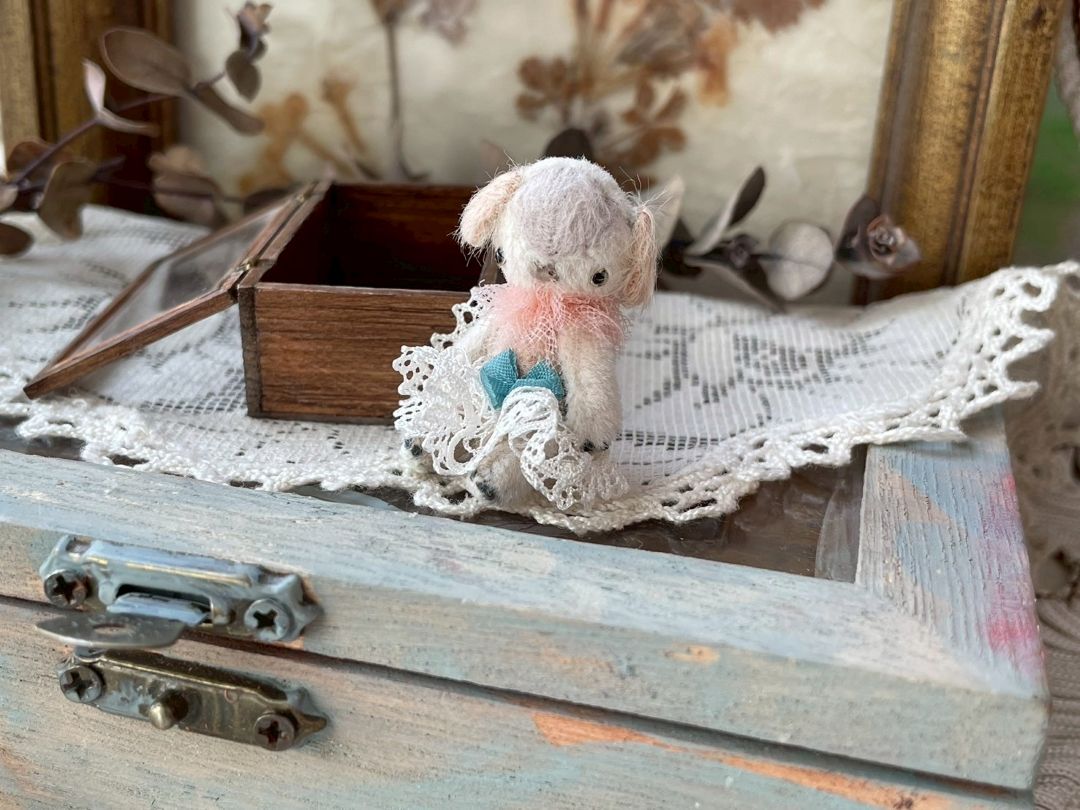 ɸ��Ȣ���꡼��/���åץ��䡼��LIEN�����