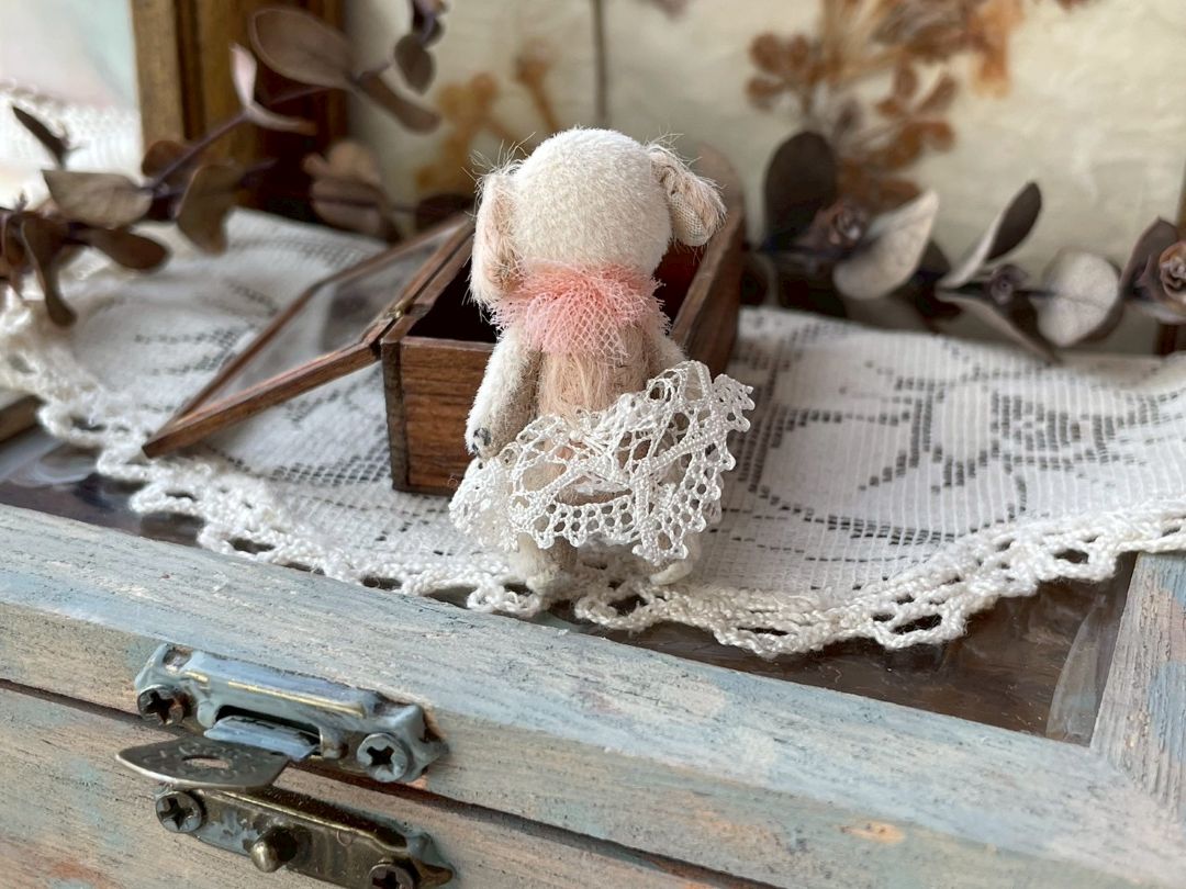 ɸ��Ȣ���꡼��/���åץ��䡼��LIEN�����