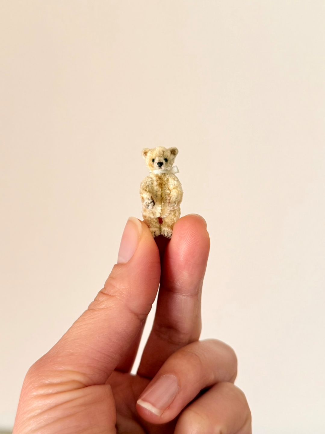 �����ʤ�ͧã��Tiny Bear and Bunny���� and Bonnie���� ��