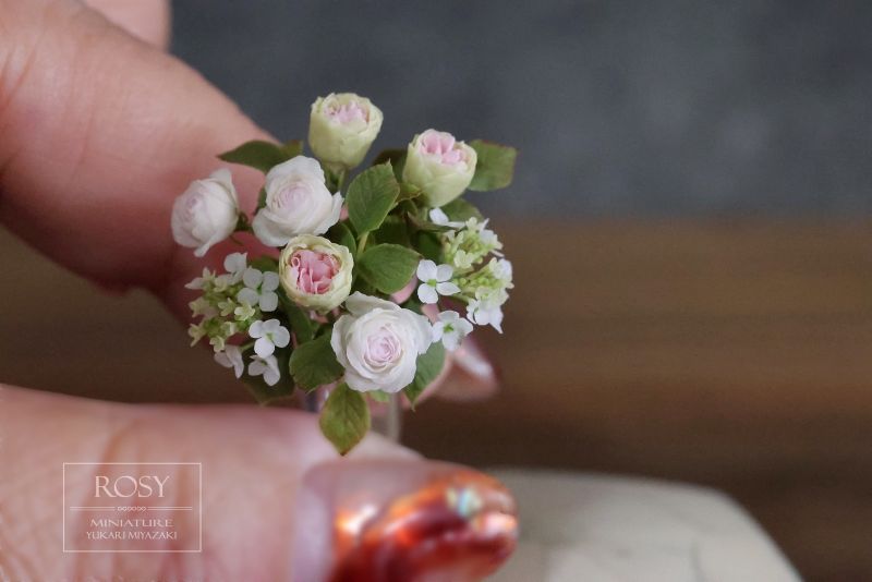 ���饹�βִ�Ⱦ����ʥ֡�����Miniature Rosy�����