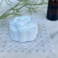 ROSE��ñ�������ޥ��ȡ���ʥ֥롼��