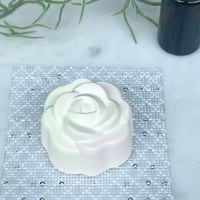 ROSE�������ޥ��ȡ���ʥ�����������󥸡�