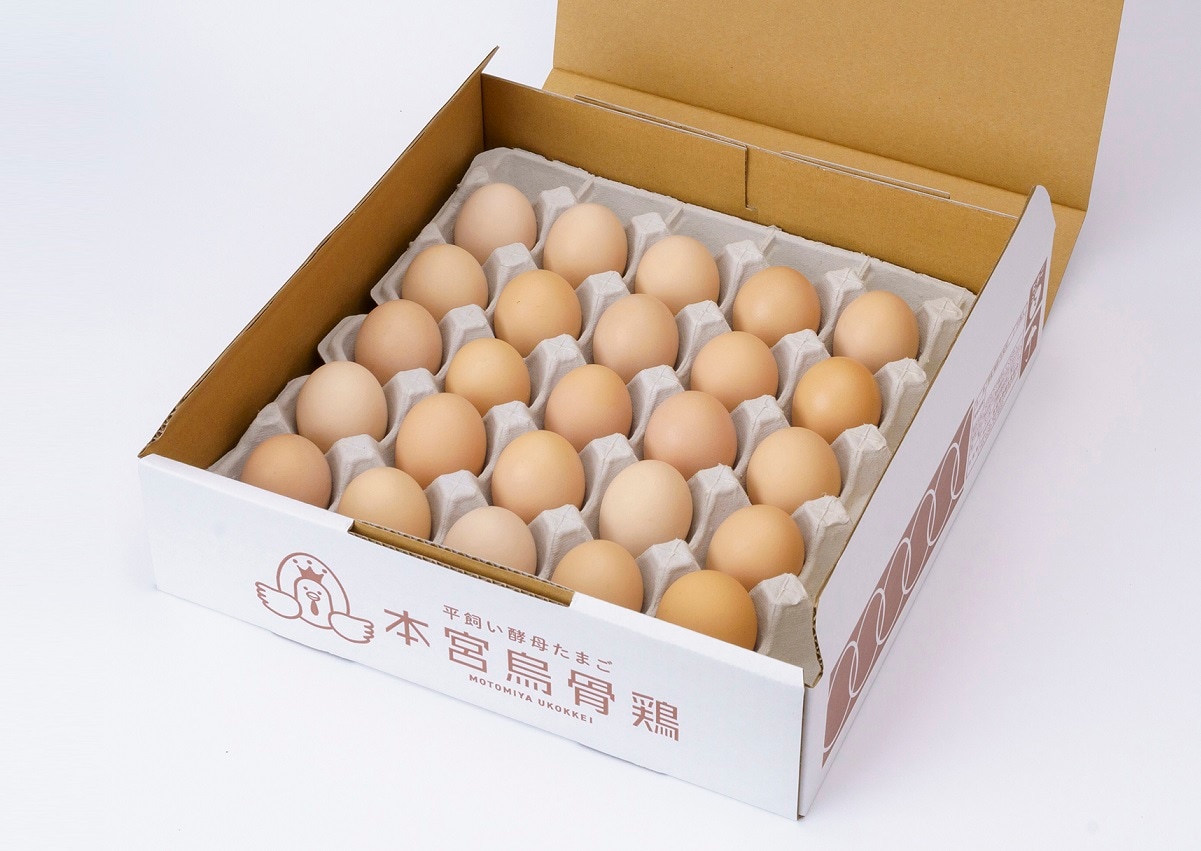 【値引】いちょう葉カプセルGi】6月分.烏骨鶏卵黃200粒¥26,000円を 烏骨鶏のたまご42個＋割れ補償6個 合計48個がこの価格‼️：岐阜県産の